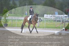 ref. photo 3149305