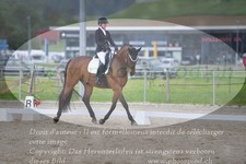 ref. photo 3149306