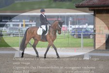 ref. photo 3149307