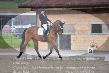 ref. photo 3149308