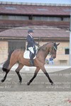 ref. photo 3149312