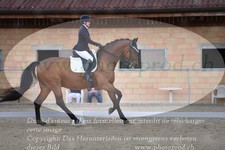 ref. photo 3149317