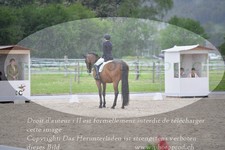 ref. photo 3149320