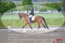 ref. photo 3149328