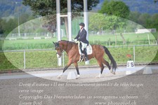 ref. photo 3149342
