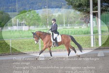 ref. photo 3149343