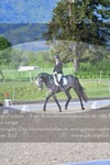 ref. photo 3149358