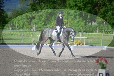 ref. photo 3149371