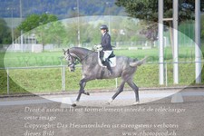 ref. photo 3149390