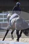 ref. photo 3149412