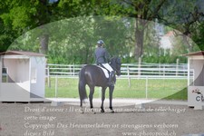 ref. photo 3149419