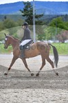 ref. photo 3149427