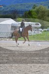 ref. photo 3149428