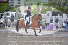 ref. photo 3149476