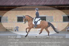 ref. photo 3149478