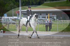 ref. photo 3149496