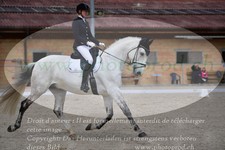 ref. photo 3149498