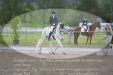 ref. photo 3149513