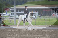 ref. photo 3149515