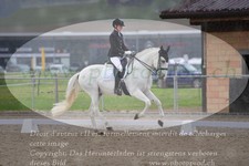 ref. photo 3149519
