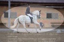 ref. photo 3149521