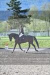 ref. photo 3149535