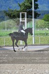 ref. photo 3149538