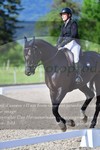 ref. photo 3149540