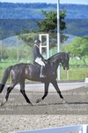 ref. photo 3149542
