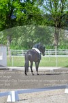 ref. photo 3149552