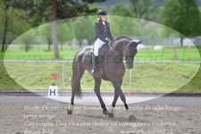 ref. photo 3149560