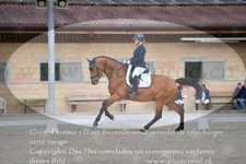 ref. photo 3149610