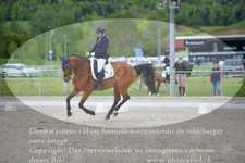 ref. photo 3149614