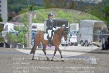 ref. photo 3149631