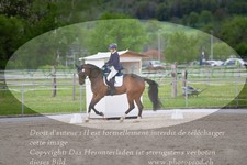 ref. photo 3149685