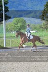 ref. photo 3149716