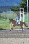 ref. photo 3149717
