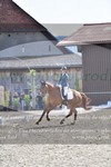 ref. photo 3149731