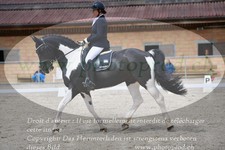 ref. photo 3149747
