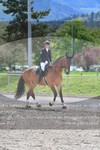 ref. photo 3149774