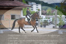 ref. photo 3149837