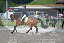 ref. photo 3149868