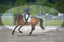 ref. photo 3149869