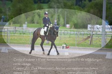 ref. photo 3149872