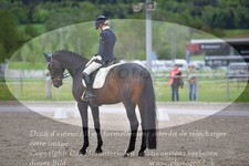 ref. photo 3149874