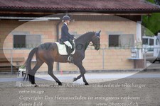 ref. photo 3149887