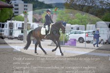 ref. photo 3149888