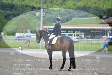 ref. photo 3149904