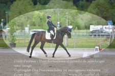 ref. photo 3149906
