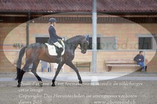 ref. photo 3149909